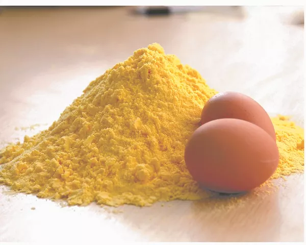 What Is a Powdered Egg? 