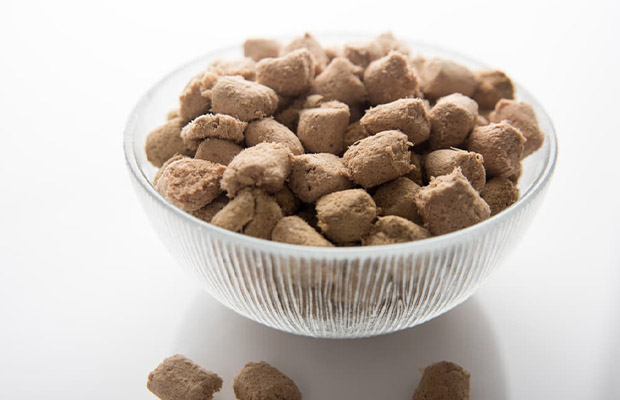 Dry Dog Food